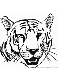 Desenhos de tigres para colorir – Página de colorir 83