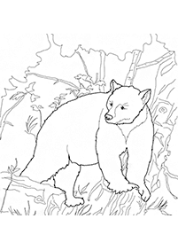 Desenhos de ursos para colorir – Página de colorir 29