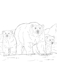 Desenhos de ursos para colorir – Página de colorir 57