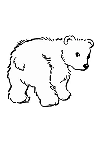 Desenhos de ursos para colorir – Página de colorir 71