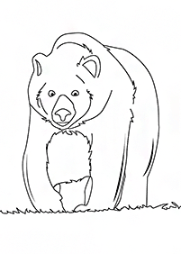 Desenhos de ursos para colorir – Página de colorir 74