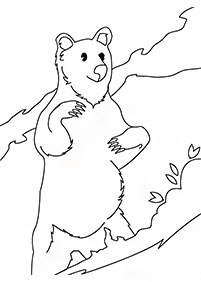 Desenhos de ursos para colorir – Página de colorir 96