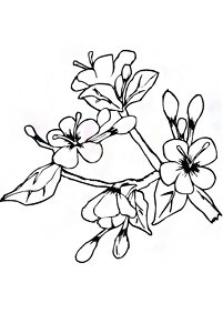 Desenhos de primavera para colorir – Página de colorir 90