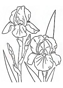 Desenhos de flores para colorir - Página de colorir 148