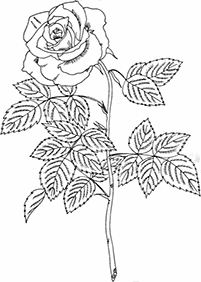 Desenhos de flores para colorir - Página de colorir 38