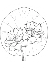 Desenhos de flores para colorir - Página de colorir 78