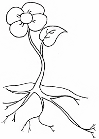 Desenhos de flores para colorir - Página de colorir 81