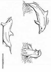 Раскраски с дельфинами – страница 74