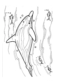 Раскраски с дельфинами – страница 84