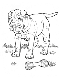 Раскраски с собаками – страница 61