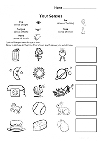 kindergarten worksheets - worksheet 229
